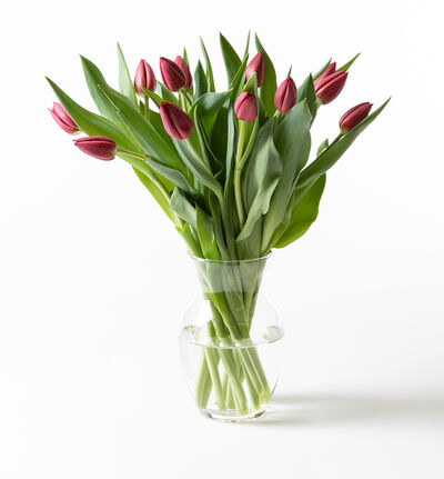 Rød tulipanbukett liten